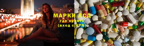 индика Тутаев