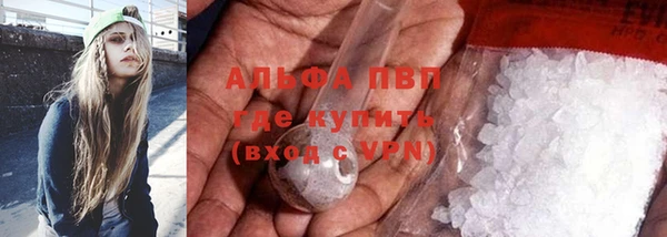 индика Тутаев