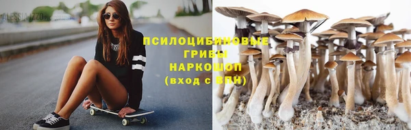спайс Туринск