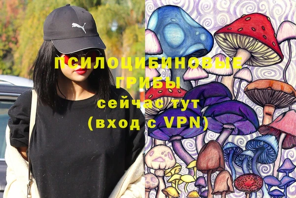 mdpv Горно-Алтайск