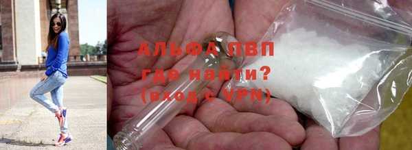 амф Гусев