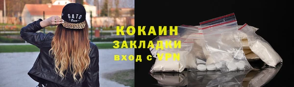 амф Гусев