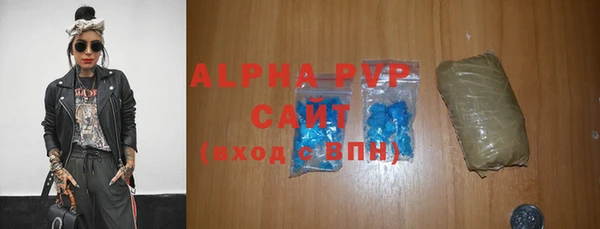 амф Гусев