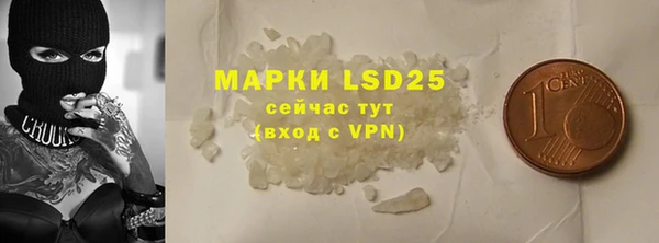 apvp Горняк