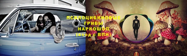 дживик Гусиноозёрск