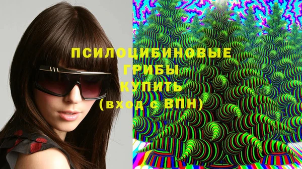 амф Гусев
