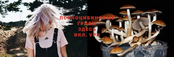 apvp Горняк