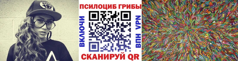 Псилоцибиновые грибы Cubensis  закладка  Заволжье 